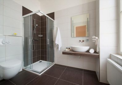 Brewery Hotel – U Medvídků ***