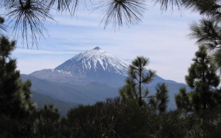 Teide & La Laguna med Orotovadalen (Ingår) image