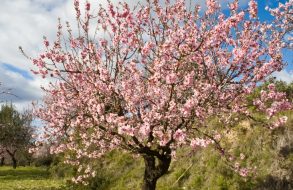 Lake District thumbnail