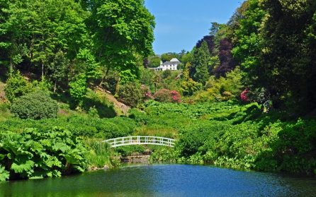 Trebah garden och Truro image