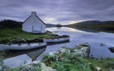 Kerry - Galway image