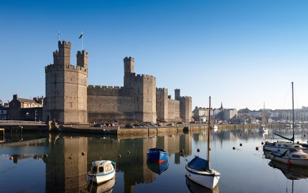 Caernarfon & Portmerion image