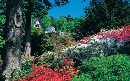 Bodnant Garden image