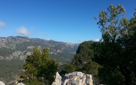 Vandring & La Mortella image