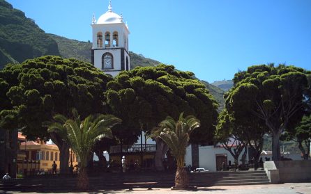 Utfärd Icod Los Vinos, Garachico & Los Gigantes image