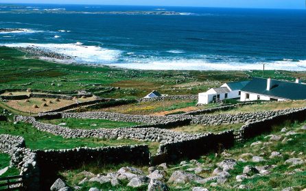 Galway - Cavan image