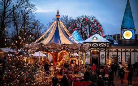 Stadsrundturer & julmarknad image