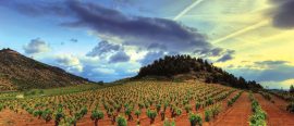 Baskien & Rioja med Bilbao & San Sebastian thumbnail