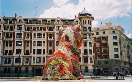 Rioja image