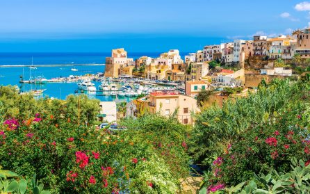 Marsala & vinprovning  image