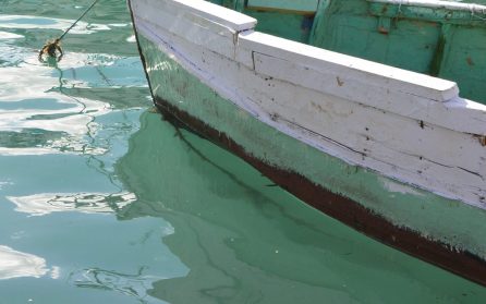 Vandring Xlendi & Dwejra  image