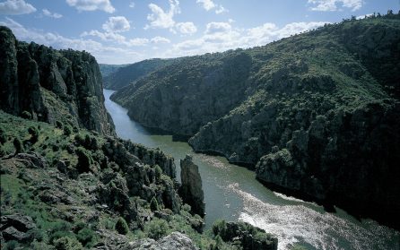 Arribes image