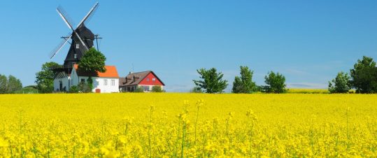 Påskresa till Skåne hero image