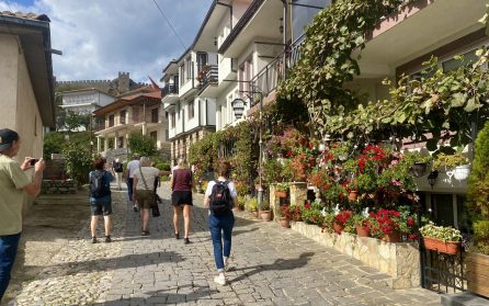 Berat och Gjirokaster  image