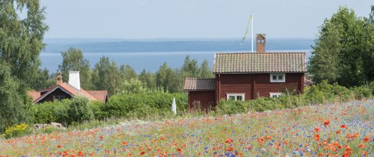 Siljan runt hero image