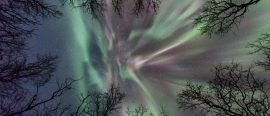 Lappland i Polarnatten thumbnail