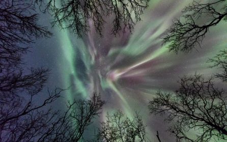 Nattåg till Kiruna image