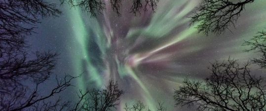 Lappland i Polarnatten hero image