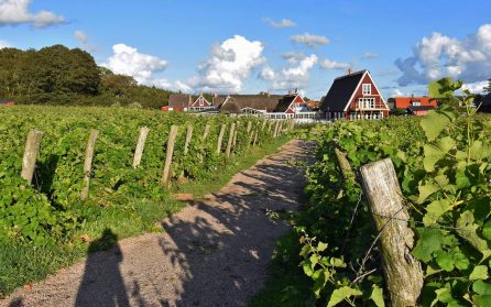 Påskafton: Destilleri, gästgiveri & vinprovning image