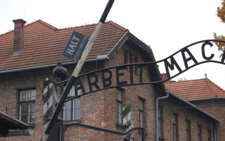 Egen dag / Auschwitz  image