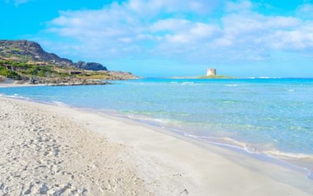 Alghero (utfärd Stintino) image