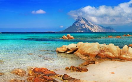 Alghero / Stintino image