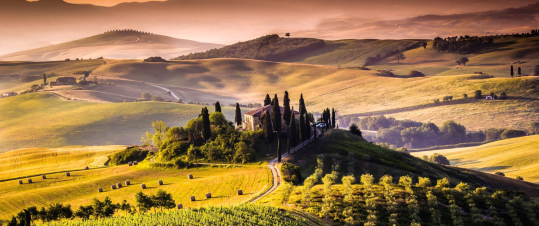 Toscana vinresa med Wine Affair hero image