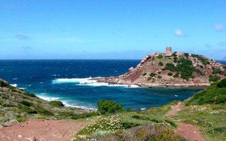 Nurager, Capo Caccia, vingård image