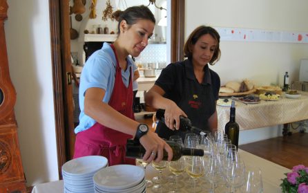 Vingård i Valpolicella image