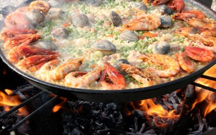 Albufera, båttur och paella  image