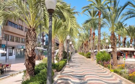 Alicante & hemresa image