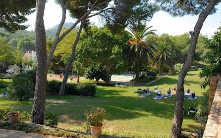 Olika träningsformer image