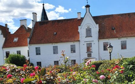 Rosor, sensommarperenner och en vitrappad kyrka image