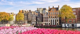 Holland thumbnail