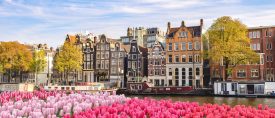Holland thumbnail