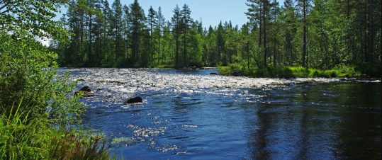 Hälsingland hero image