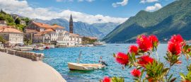 Montenegro thumbnail