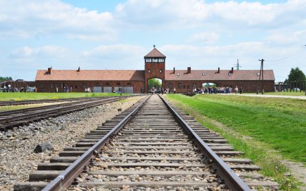 Fri dag/Auschwitz image