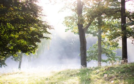 Gårdarna runt sjön image