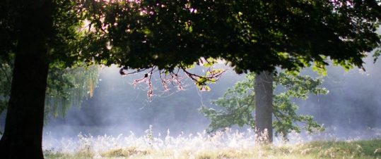 Gårdarna runt sjön hero image