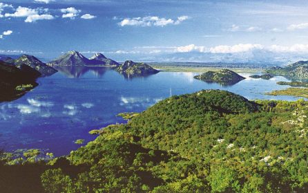Skadarsjön - En naturlig juvel image