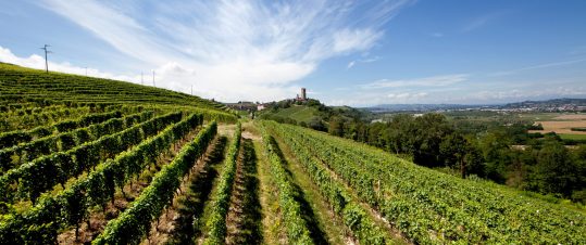 Piemonte vinresa med Wine Affair hero image