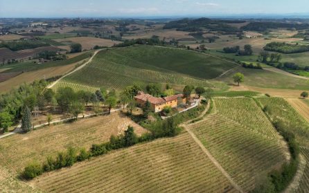 Stockholm - Monferrato image