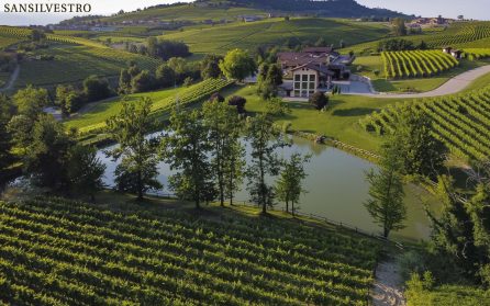 Barolo - Kungarnas vin image