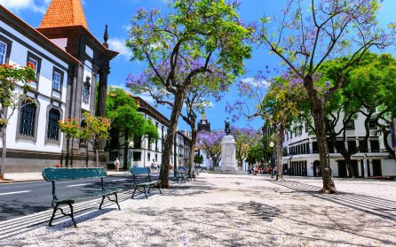 Charmiga Funchal image