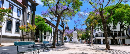 Bridge på Madeira – Atlantens smaragd hero image